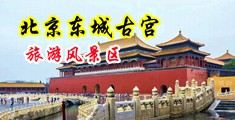 美女光逼网站中国北京-东城古宫旅游风景区